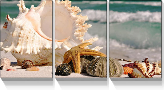 3 Panels Large Snail Shell on Beach Picture Giclee Prints Gallery Wrapped Stretched and Framed Ready to Hang Artwork Home Decoration